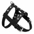 Prince - Leather Dog Harness