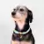 Stella - Personalized Leather Collar - online store