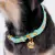Stella - Personalized Leather Collar - Âme Acessórios Pet