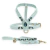 Rhaenyra Dog Kit - Leather Leash & Harneness on internet