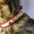 Letras - Personalized Leather Cat Collar - Âme Acessórios Pet