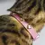 Stella - Personalized Leather Cat Collar - buy online