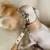 Collar de cuero personalizado para Galgos - Camel en internet