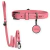 Lara Dog Kit - Personalized Leather Collar & Leash