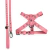 Kit de arnés y correa de cuero Meg - tienda online