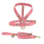 Rhaenyra Dog Kit - Leather Leash & Harneness on internet