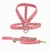 Rhaenyra Dog Kit - Leather Leash & Harneness on internet