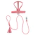 Diana Dog Kit - Leather Leash & Harness