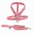 Rhaenyra Dog Kit - Leather Leash & Harneness - Âme Acessórios Pet