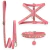 Kit de arnés, correa y collar Lili con identificación - tienda online