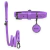 Atena Dog Kit - Personalized Leather Collar & Leash - buy online