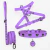 Stella Dog Kit - Personalized Leather Collar, Harness & Leash - online store