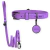 Lara Dog Kit - Personalized Leather Collar & Leash - online store