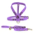 Rhaenyra Dog Kit - Leather Leash & Harneness - online store
