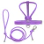 Simon Dog Kit - Leather Leash & Harness - online store