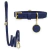 Atena Dog Kit - Personalized Leather Collar & Leash - online store