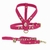 Rhaenyra Dog Kit - Leather Leash & Harneness - online store