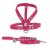 Image of Rhaenyra Dog Kit - Leather Leash & Harneness