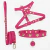 Stella Dog Kit - Personalized Leather Collar, Harness & Leash - buy online