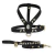 Rhaenyra Dog Kit - Leather Leash & Harneness