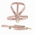 Rhaenyra Dog Kit - Leather Leash & Harneness on internet