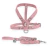 Image of Rhaenyra Dog Kit - Leather Leash & Harneness
