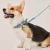 Atena Dog Kit - Personalized Leather Collar & Leash on internet