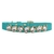 Collar de cuero Isabel - Âme Acessórios Pet