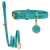 Lara Dog Kit - Personalized Leather Collar & Leash - buy online