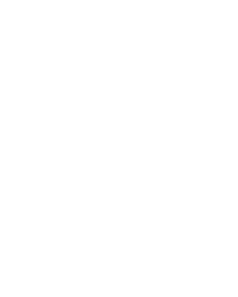 Cris Bento