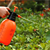 Pulverizador Borrifador Spray Para Jardinagem Multiuso 2L - Hagra