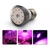 Led Grow Cultivo Indoor Estufa Fullspectrum 28w Uvir - comprar online