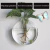 Plantas Penduradas Flores Vaso Vidro Parede Hydroponic - comprar online