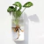 Vidro Hidropônico Vaso De Flores Decoração De Parede - comprar online