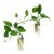 Vidro Hidropônico Vaso De Flores Decoração De Parede - comprar online