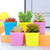 Kit 7 Mini Vasos Coloridos Decorativo Plantas Jardim - loja online