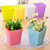 Kit 7 Mini Vasos Coloridos Decorativo Plantas Jardim - Hagra