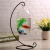 Vaso De Vidro Decorativo Para Ambientes Suculentas na internet