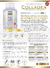 COLAGENO CAPSULAS X 2u - AGE BIOLOGIQUE en internet