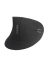 MOUSE VERTICAL INALAMBRICO X98 - ICONNEX en internet