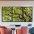 Trio de Quadros Decorativos Arvore e Galhos