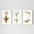 Trio de Quadros Orquídeas Douradas - comprar online