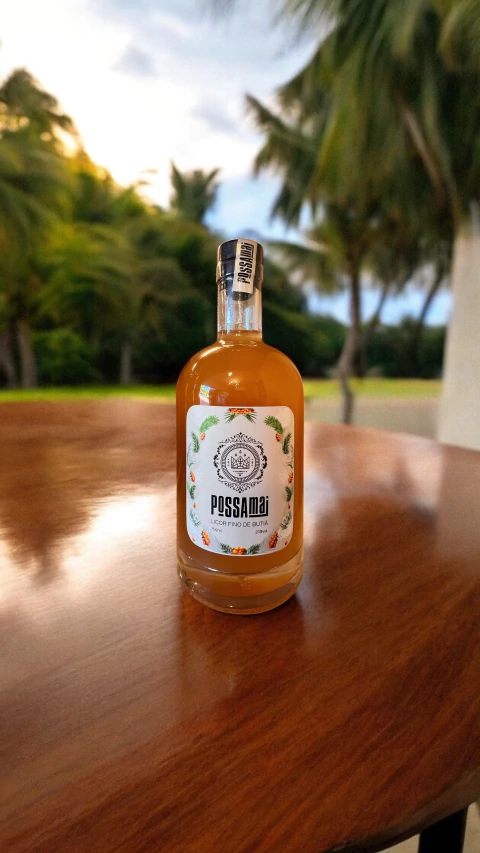 Possamai Licor Fino de Butiá 750 ml - 20% vol