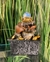 Fuente de agua Feng Shui con esfera de vidrio 18 cm - comprar online