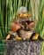 Fuente de agua Feng Shui con esfera de vidrio 18 cm en internet