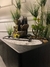 Fuente con Buda Feng Shui + Jardín Zen 29 cm de alto - tienda online