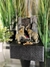 Fuente de agua elefante Feng Shui 25 cm - comprar online