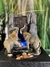 Fuente de agua elefante Feng Shui 25 cm - tienda online