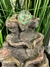 Fuente de Agua Feng Shui con Esfera de Vidrio y luz multicolor 25 cm - Efecto roca - comprar online