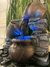 Fuente de Agua Feng Shui 23 cm con Luz LED - Exclusiva por tiempo limitado